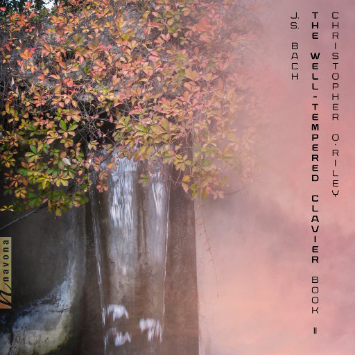 改造娇妻晓雯最新章节更新小说
